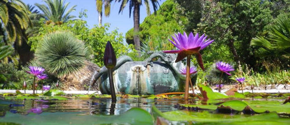 Visite Guidée : Jardin Serre de la Madone