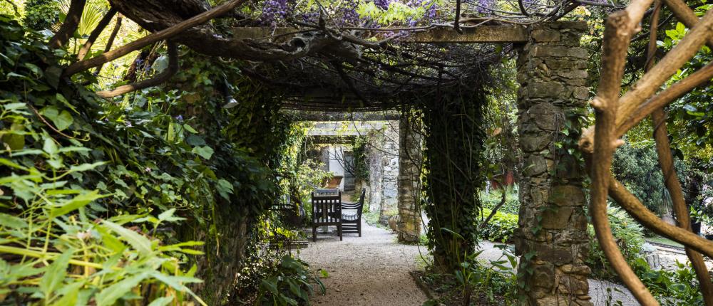 Visite guidée : Jardin Clos du Peyronnet