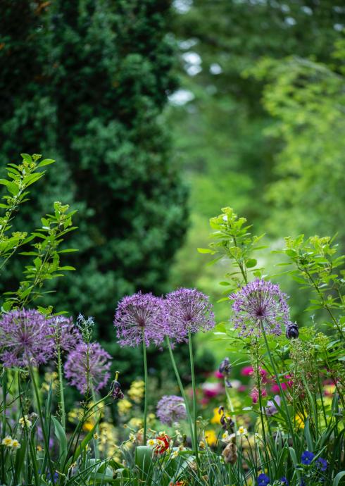 Villa Genesis - Domaine des Colombières